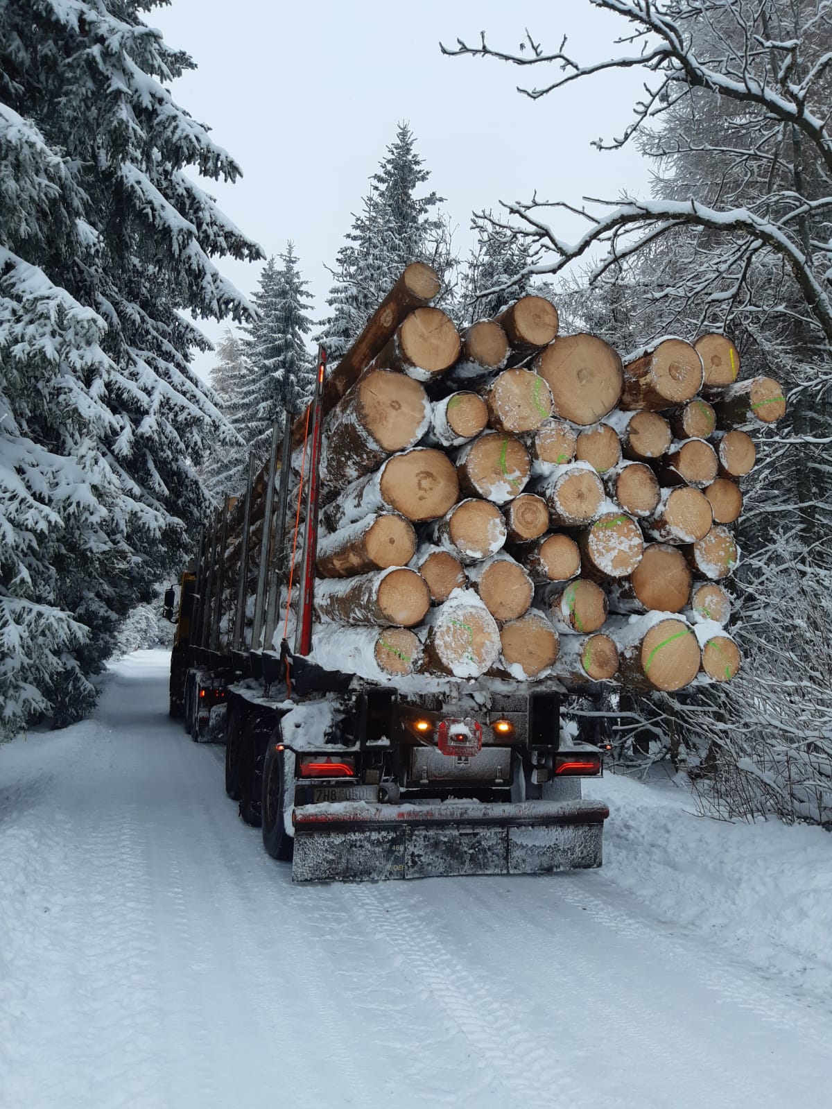 Doprava dřeva odvozní soupravou – lesní logistika Broumov