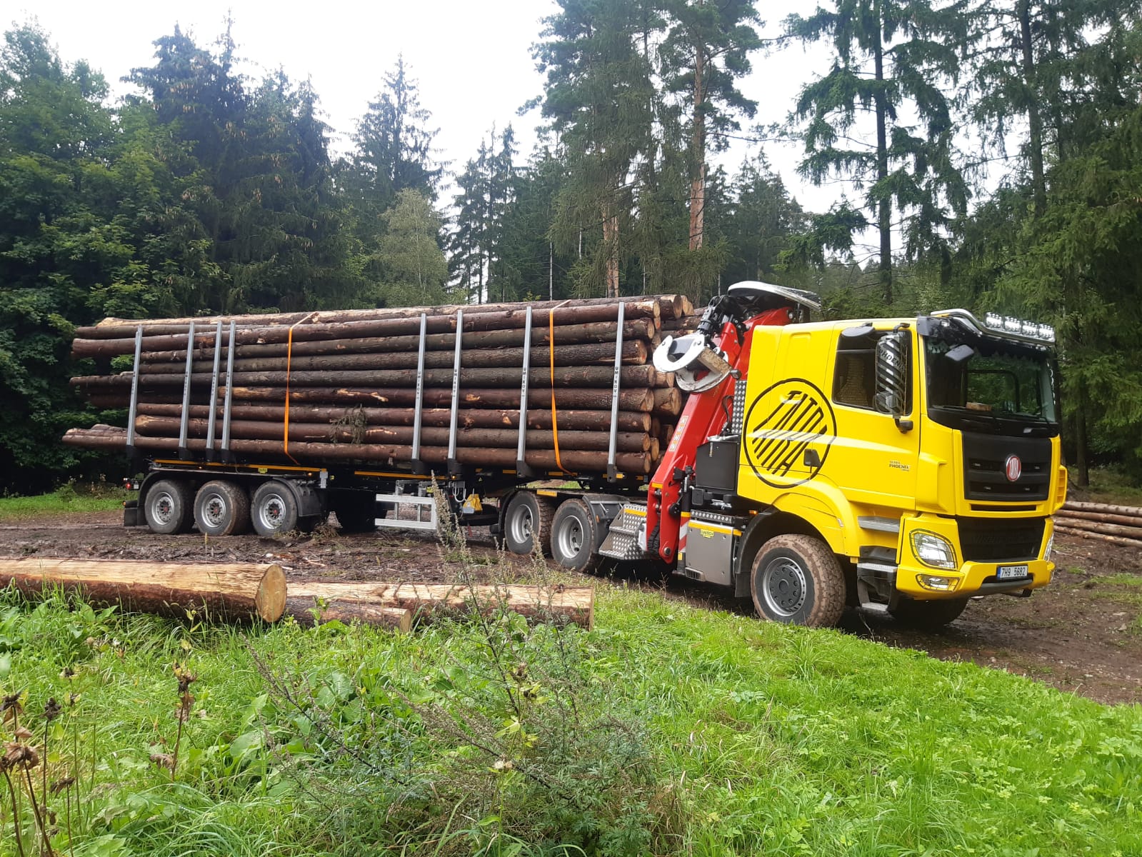 Přeprava dřeva odvozní soupravou – lesní doprava Broumov