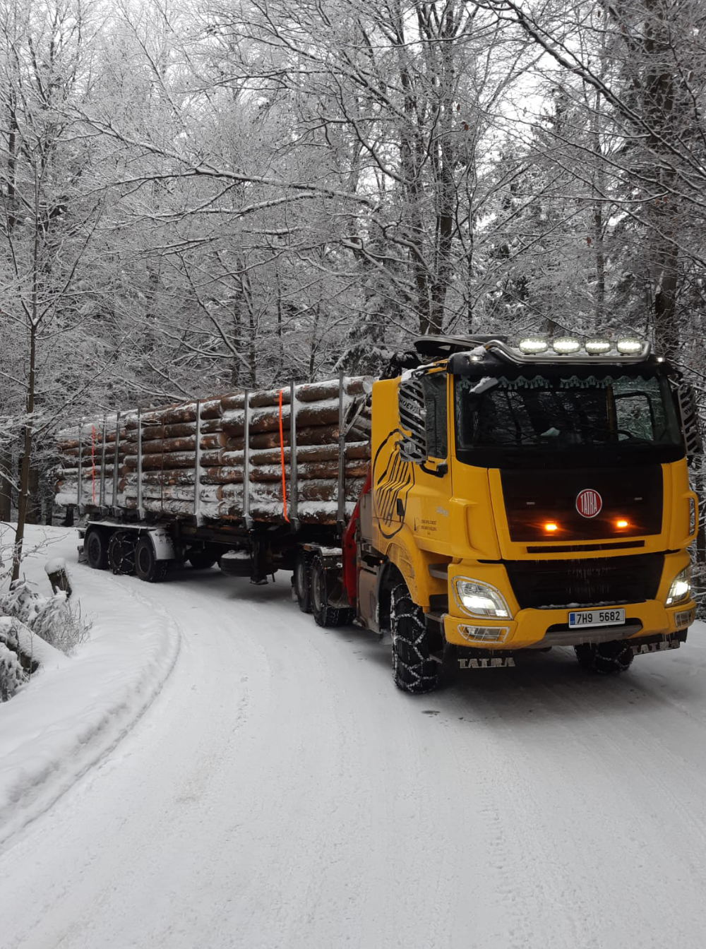 Odvoz dřeva a dřevní hmoty – lesní doprava Broumovsko